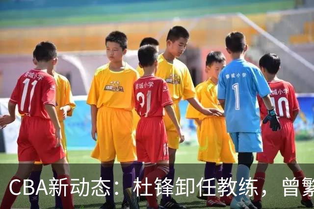 CBA新动态：杜锋卸任教练，曾繁日加盟江苏，两队争夺宋昕澔！